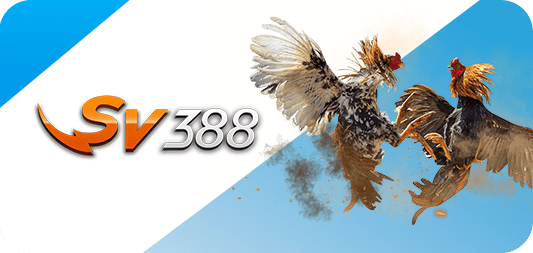 Nền tảng ví Ko66 - Ko66