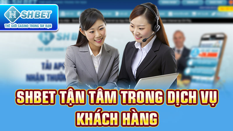 Số lượng sảnh trò chơi trên trang web 365Vn - 365Vn