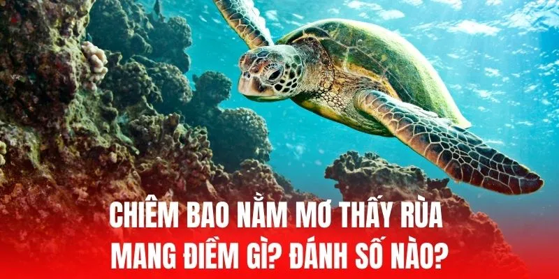Pho88 VIP, trò chơi máy đánh bạc hay nhất - Pho88