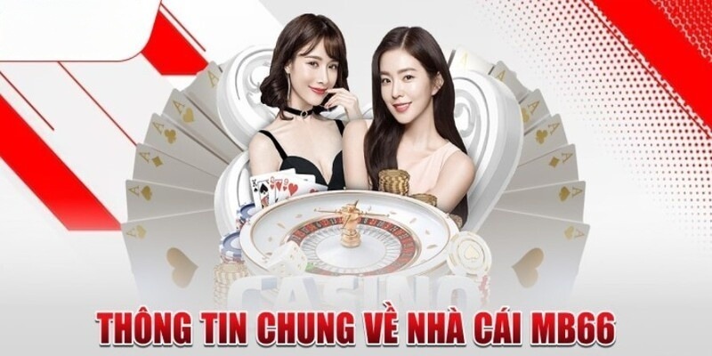 Tôi nên làm gì nếu việc rút tiền Typhu88 của tôi bị trì hoãn? - Typhu88