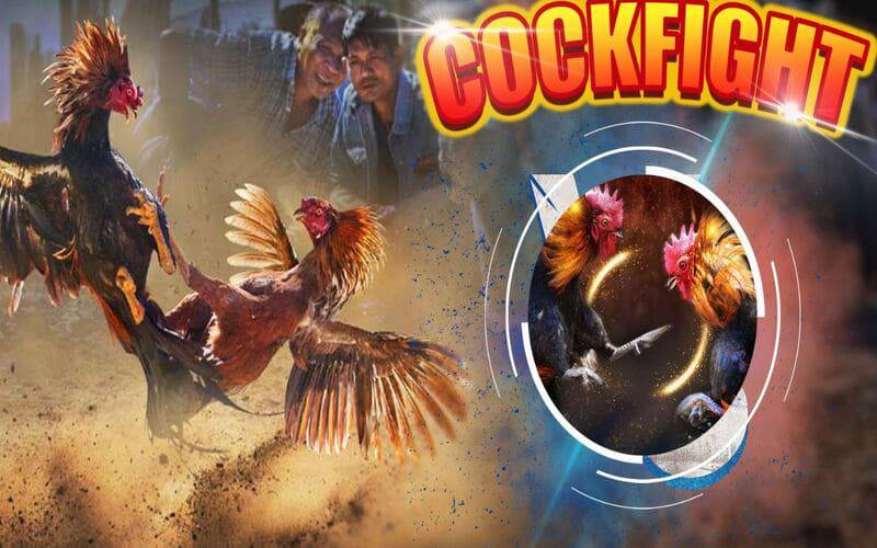 Có bằng chứng cho thấy K8vn là một công ty game có uy tín - K8vn