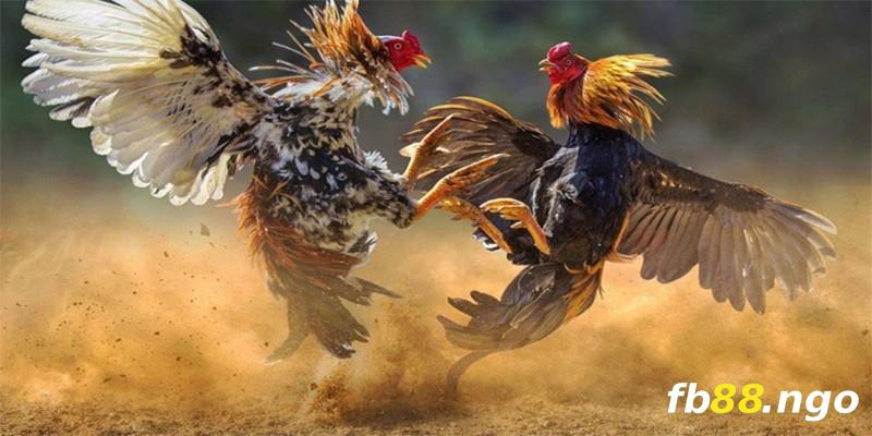 Hướng dẫn nạp tiền vào tài khoản Okvip nhanh chóng và dễ dàng - Okvip