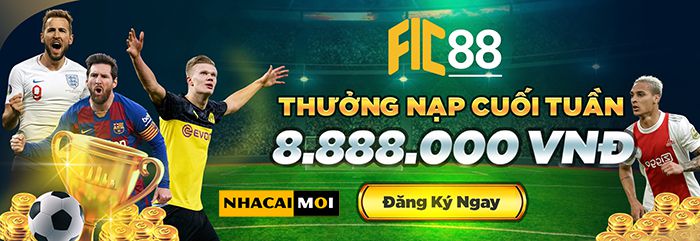 Tin tức và lời khuyên VIP của Df999 - Df999