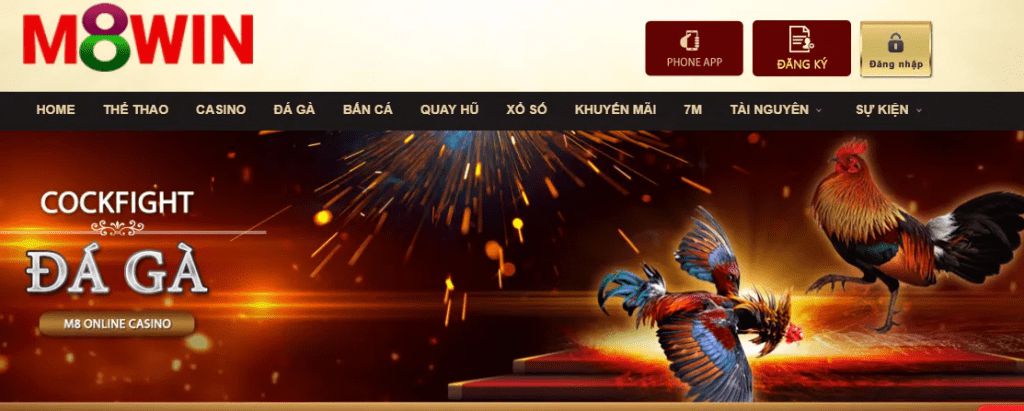 Tôi có cần xác minh tài khoản Betway của mình không? - Betway