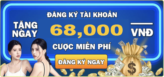 Okking và Chính sách của Tổ chức - Okking