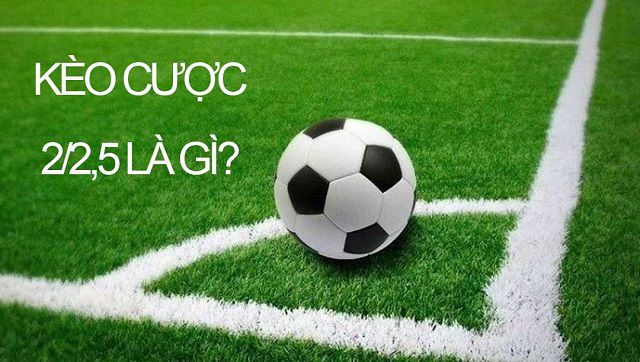 Chơi game ở cấp độ Tdtc88 có an toàn không? - Tdtc88