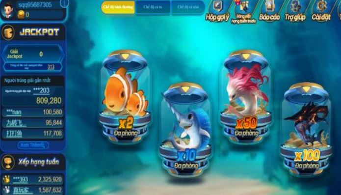 Dewabet Live cung cấp dịch vụ giao dịch đa kênh nhanh chóng - Dewabet