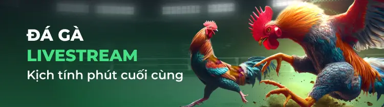 Các sản phẩm cấp độ 1Win được thiết kế để thu hút người chơi - 1Win